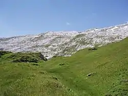 Silberen