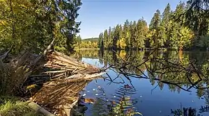 Silberteich, vom Südwesten aus gesehen