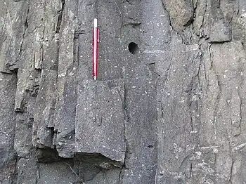 Teil eines Lagerganges aus Monchiquit (amphibolreicher, feldspatfreier Lamprophyr) in Québec.