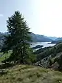 Sicht auf den Silsersee auf dem Zugang Über den Südhang.