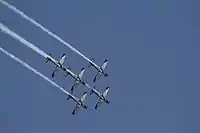 Silver Falcons