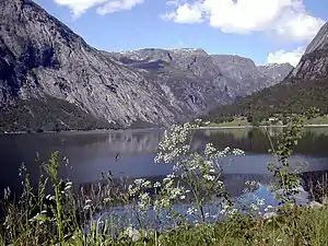 Simadalsfjord