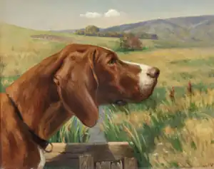 Hertha Pointer