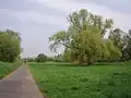 Naturschutzgebiet bei Sinzig
