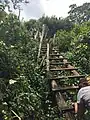 Leiter auf dem Weg zu den Wasserfällen