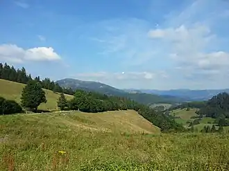 Blick von der Passhöhe Richtung Belchen