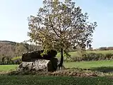 Dolmen Nougayrol
