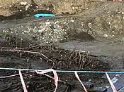 Ausgrabung des Drumclay Crannog
