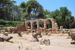 Tipasa