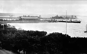 Die Skibladner 1884