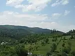 Urwald von Slătioara