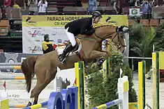 Franke Sloothaak mit Allegro LS La Sillabeim CSI Katowice 2009 in Katowice