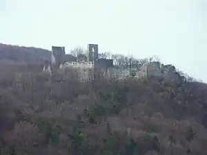 Die Burg Guttenstein