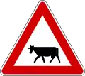 Viehtrieb