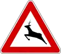 Wildwechsel