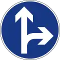 geradeaus fahren oder rechts abbiegen