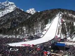 „Letalnica bratov Gorišek“ (HS240)