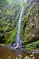 Kleiner Wasserfall im Nationalpark