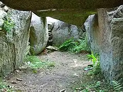 Detail der Kammer