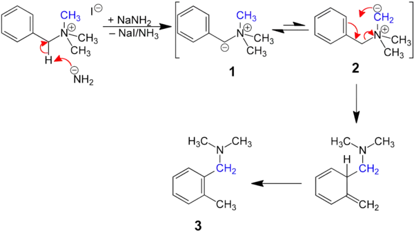 Reaktionsmechanismus der Sommelet-Hauser-Umlagerung