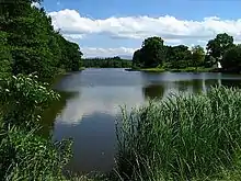 Sonderhamer Weiher am Oberlauf des Lüßbachs, im Hintergrund die Benediktenwand