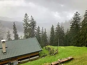Sonnbergalm, Niederleger