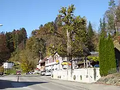 Restaurant «Linde»