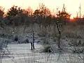 Winterliche Wasserfläche im Bereich  Paradies