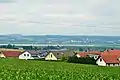 Ahlener Eiche – Blick zum Federsee (Aufnahme 2021)