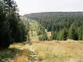 Grenzverlauf in der Nähe von Sorge und Hohegeiß im Harz