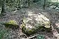 Der liegende Menhir Pierre de la Chopinière