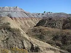 Canyon