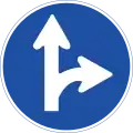 308: Vorgeschriebene Fahrtrichtung – geradeaus und rechts