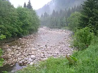 Tal der Bílé Labe(Weißwassertal)