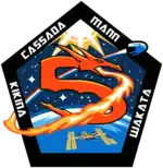 Emblem der Mission