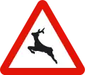 P-24Wildwechsel
