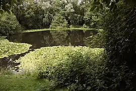 Minenkrater von 1917 bei Spanbroekmolen