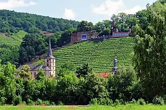Ruine Clingenburg am Main