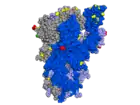 Spike-Protein mit hervorgehobenen Mutationen, Blick von der Seite auf die rezeptorbindende Domäne (RBD)