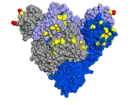 Spike-Protein mit hervorgehobenen Mutationen, Blick von oben auf die rezeptorbindende Domäne (RBD)