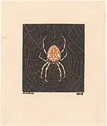 Spin in een web, 1918
