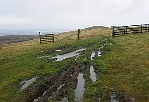 Spittal Hill