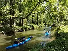 =Paddler im Hochwald des Spreewalds in Burg