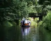 Oberspreewald bei Burg