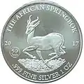 Gabun Silberunze Springbock 2017