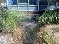 Mündung der Springe (rechts) in die Kleine Schmiech (links)