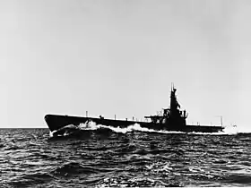 USS Capelin (SS-289)
