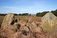 St Brandan’s Stanes