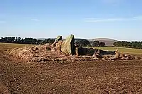 St Brandan’s Stanes