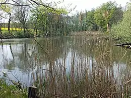 Stachelnußteich, der kleinste der Teiche